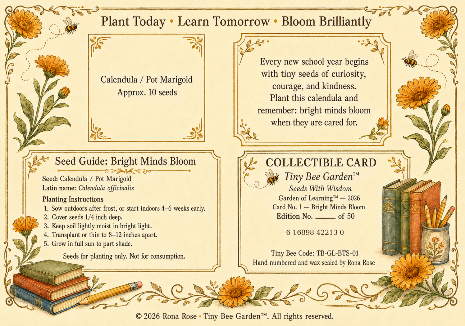 Back — Back to School — Bright Minds Bloom